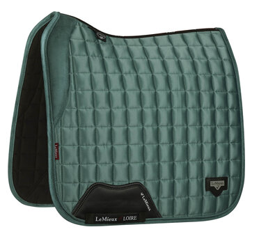 Sjabrak Lemieux Loire Dressage Sage