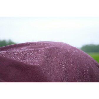 0 grams Regendeken Equitheme Tyrex 1200D Burgundy