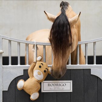 Imperial Riding Stable Buddy Teddy