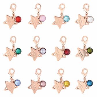 Hoofdstel Charms Birthstone Rosegold