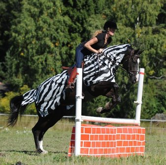 Bucas Buzz-off Riding Zebra