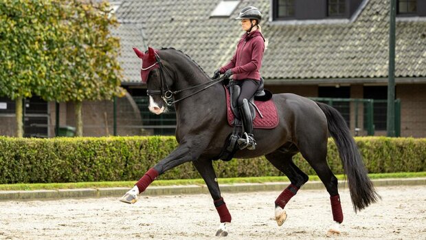 Sjabrak LeMieux Crystal Suede Dressuur Burgundy