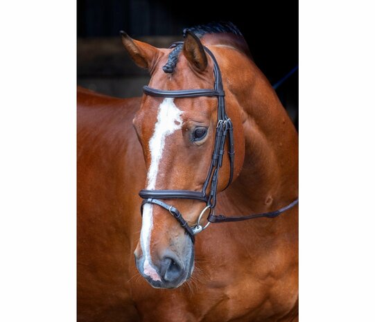 Shires 5071 Rapida Padded Hoofdstel 