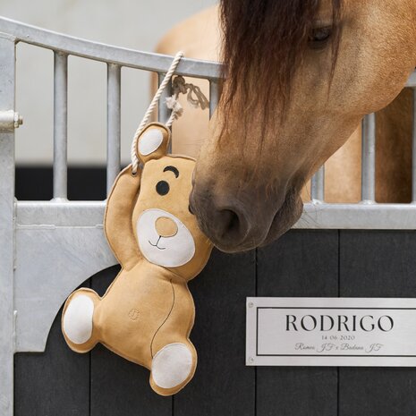 Imperial Riding Stable Buddy Teddy