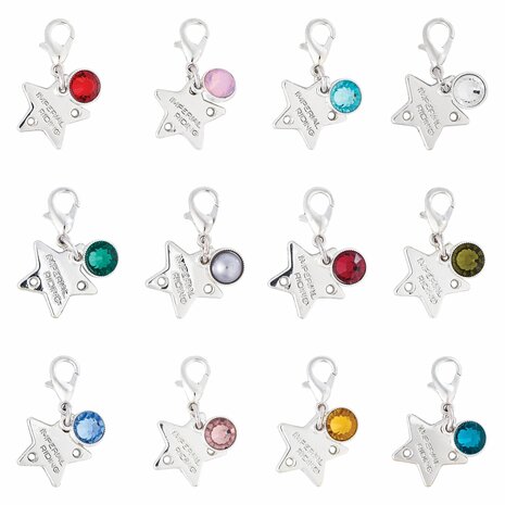 Hoofdstel Charms Birthstone Silver