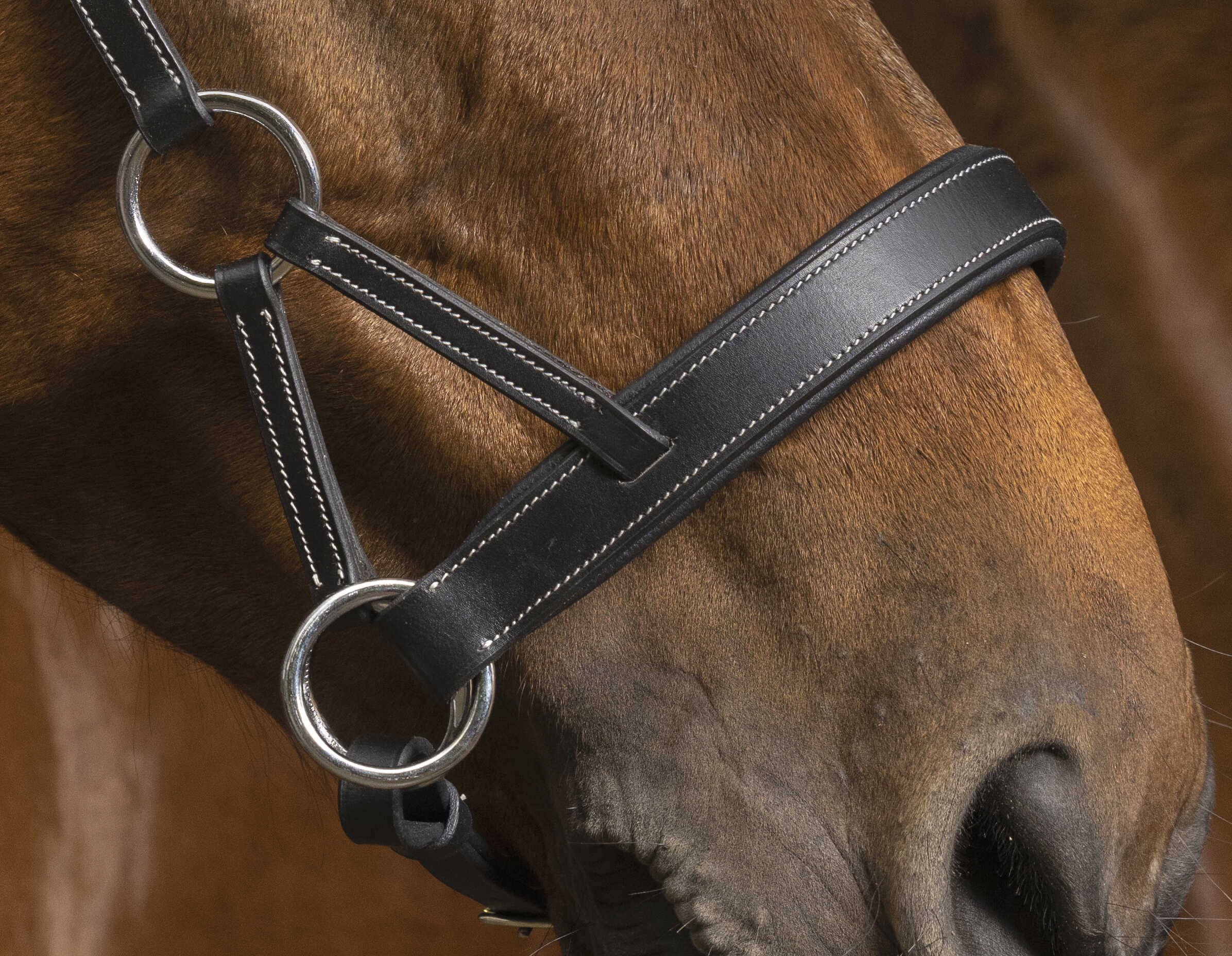 Bitloos Hoofdstel Norton Pro Comfort Sidepull - Afbeelding 4