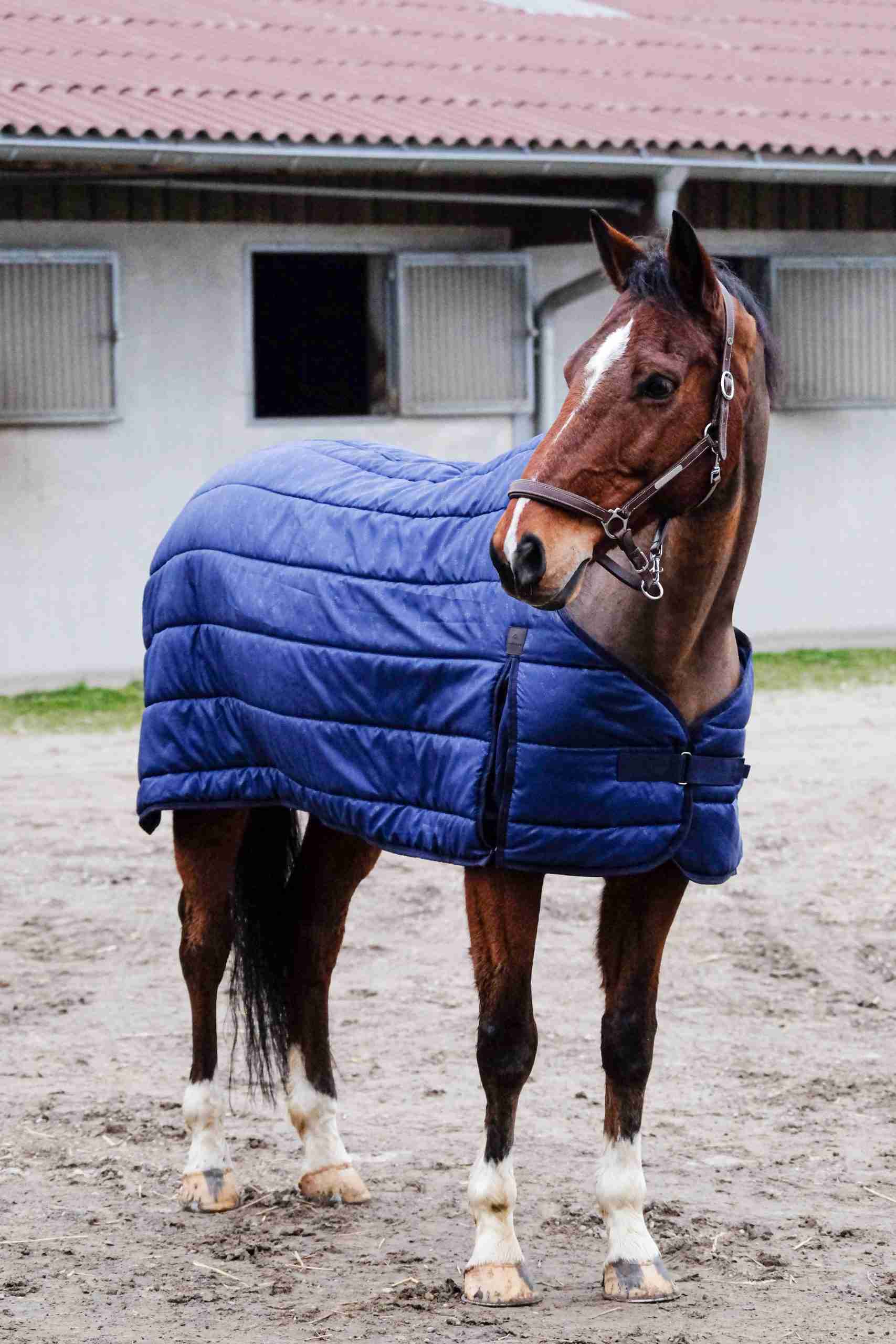 Equithème Onderdeken "Classic"