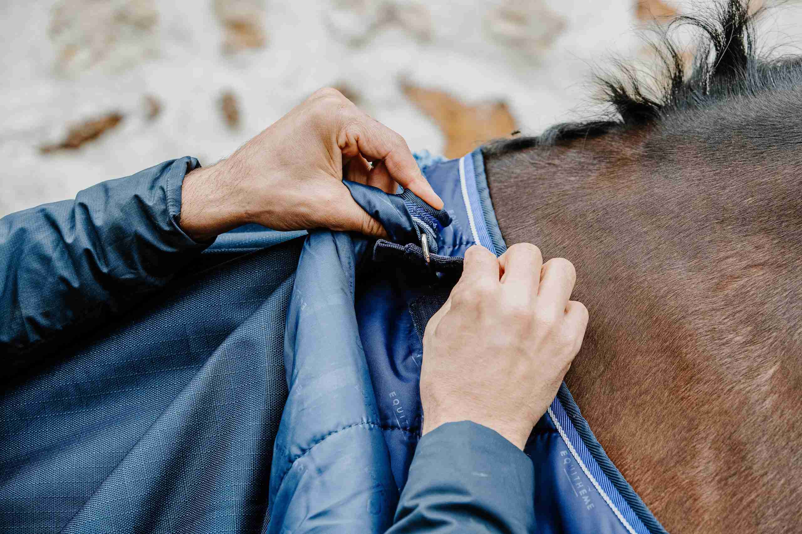 Equithème Onderdeken "Classic" - Afbeelding 4