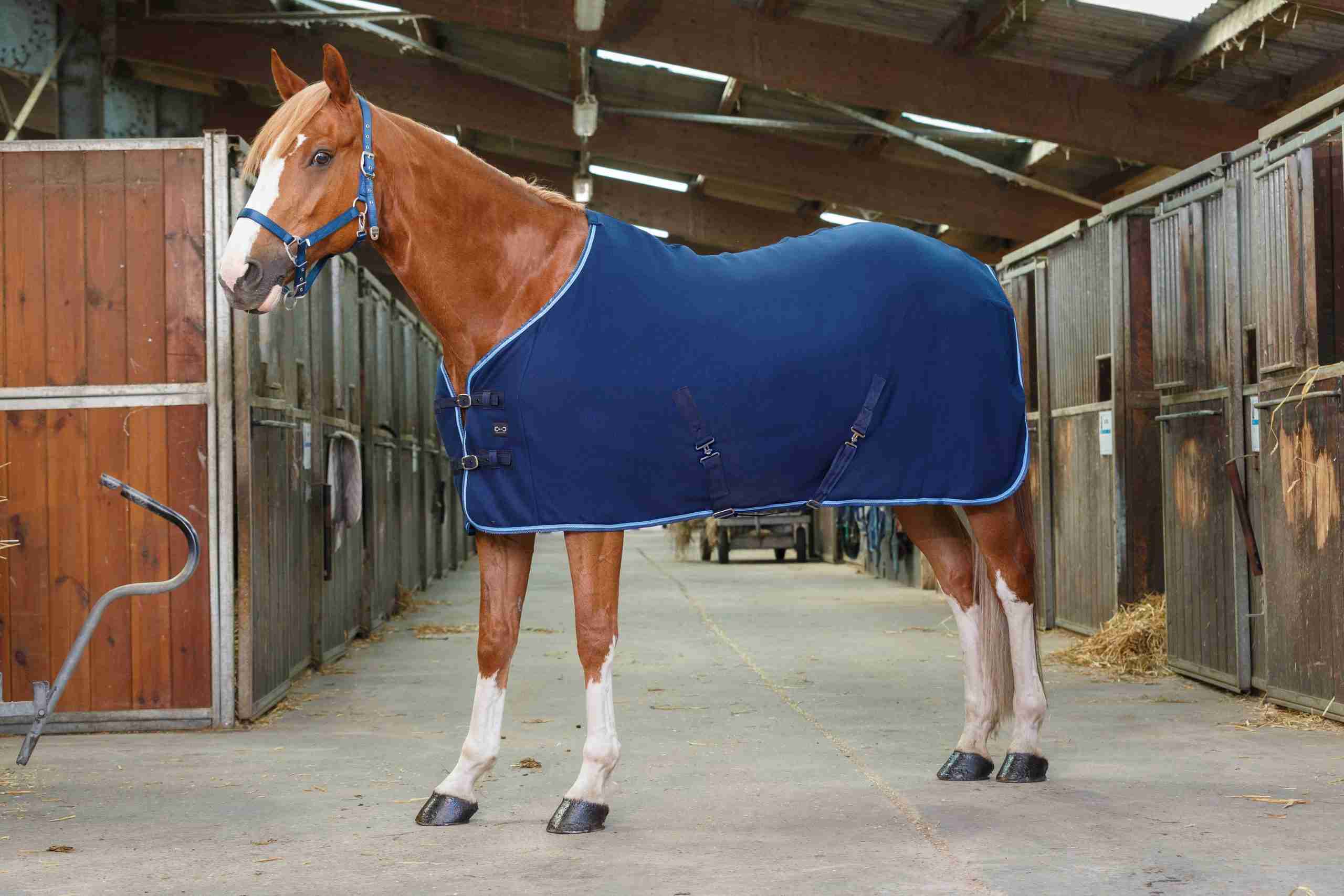 Riding World Fleecedeken met singels
