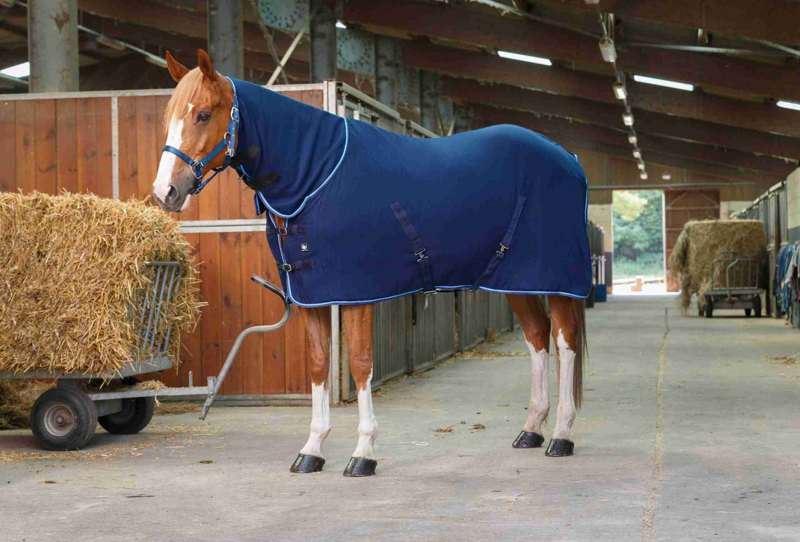 Riding World Fleecedeken met hals