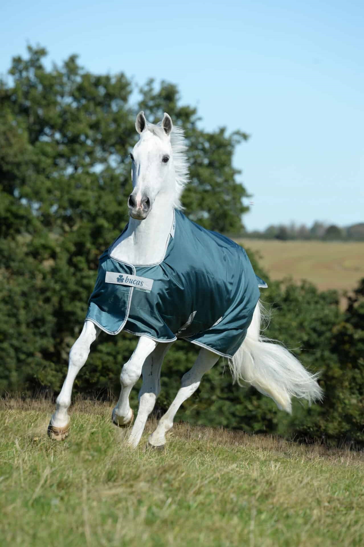 Bucas Atlantic Turnout - Afbeelding 2