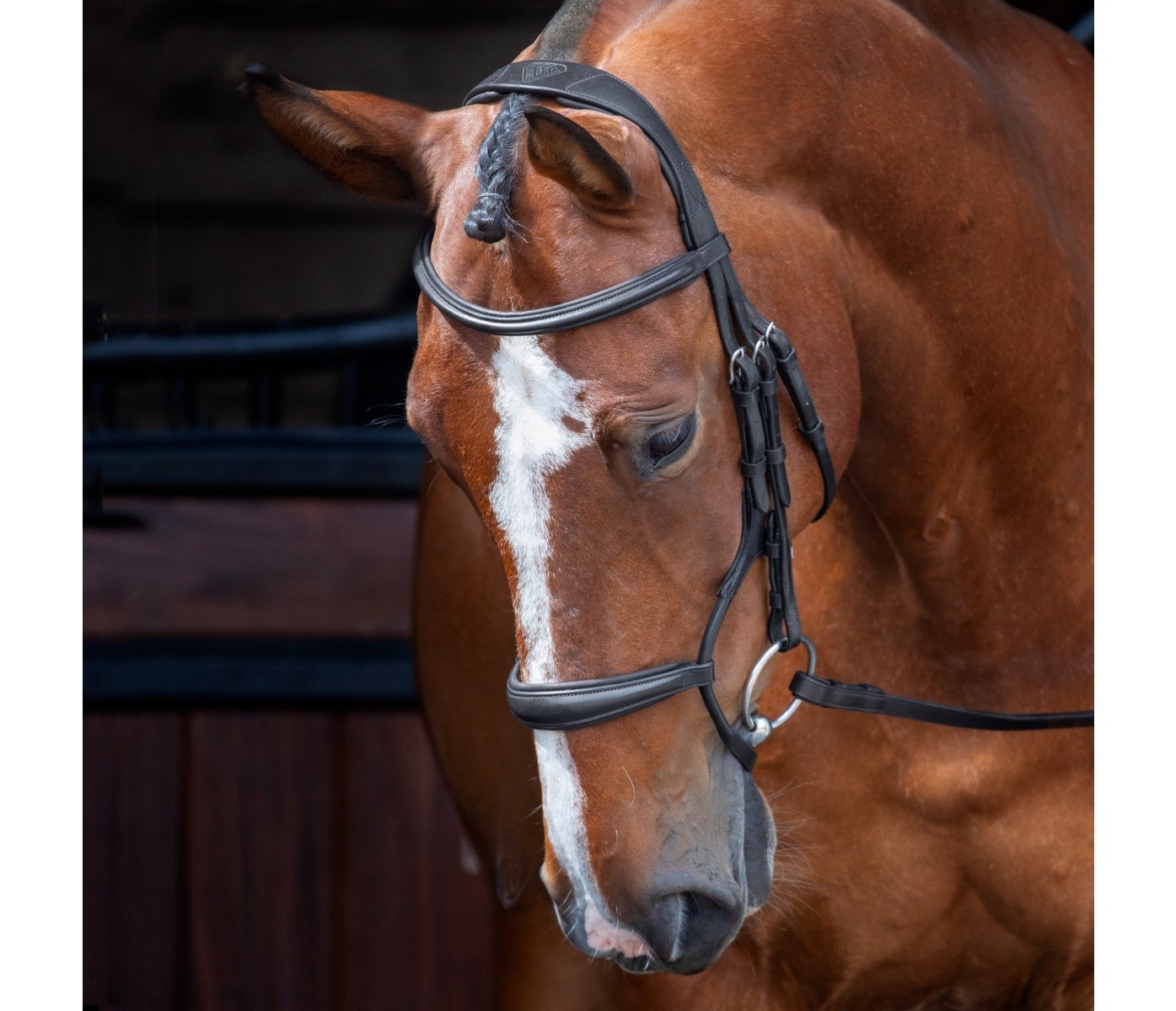 Shires Rapida Rondgenaaid Ergonomisch Hoofdstel - Afbeelding 2