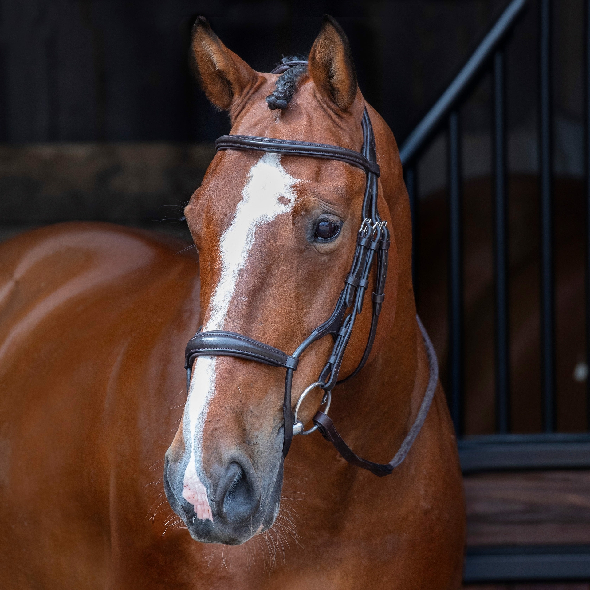 Shires Rapida Rondgenaaid Ergonomisch Hoofdstel - Afbeelding 3