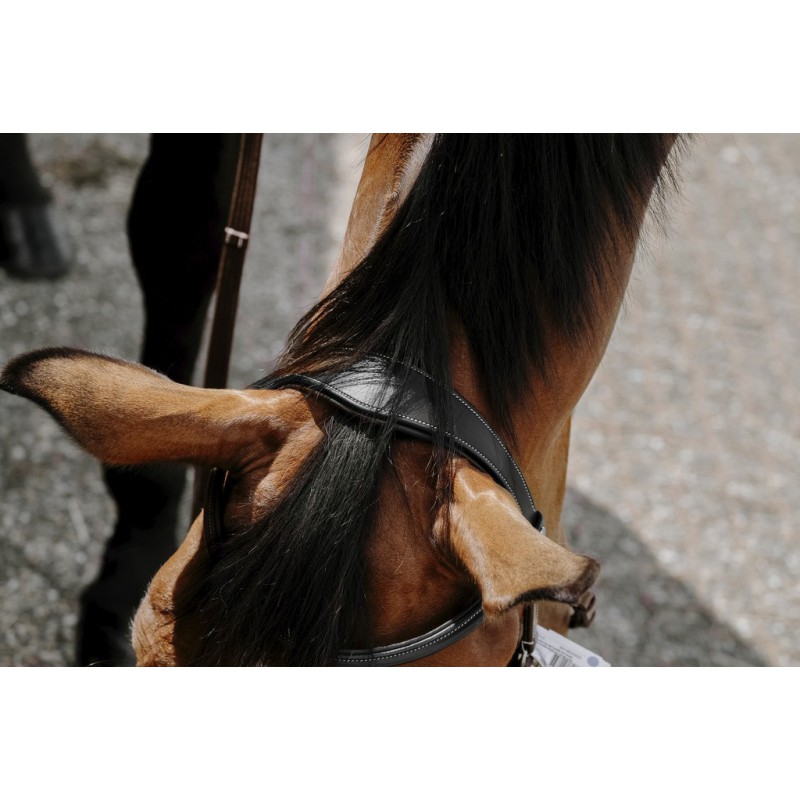 Hoofdstel Norton Pro Bitloos - Afbeelding 3