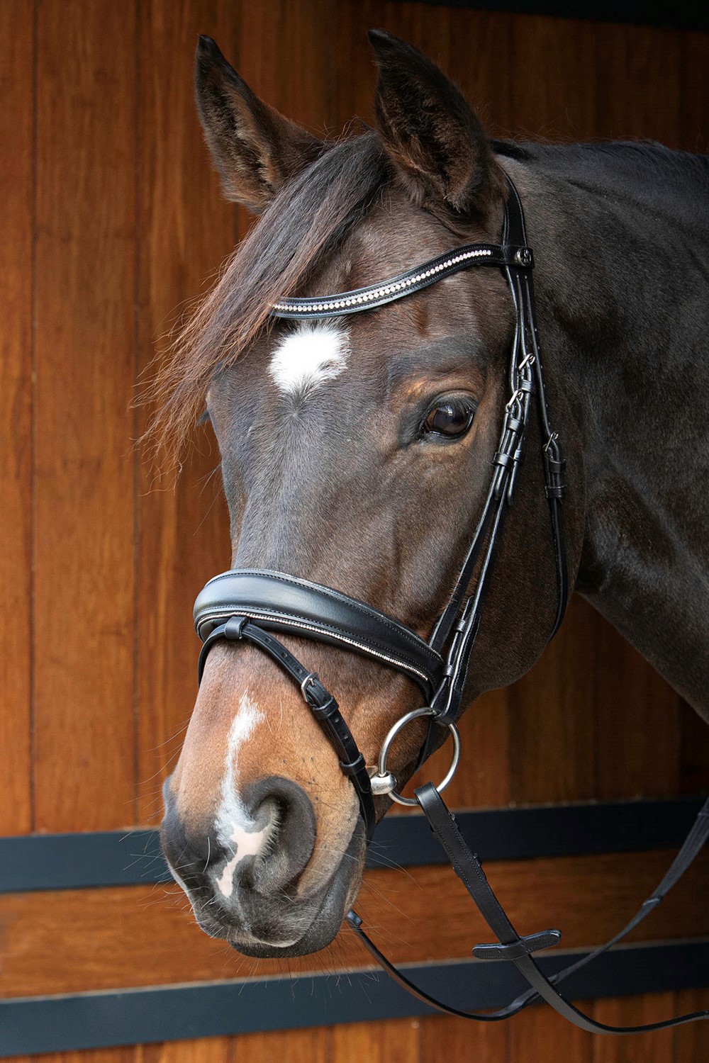 Hoofdstel HH Petit Crystal - Afbeelding 3