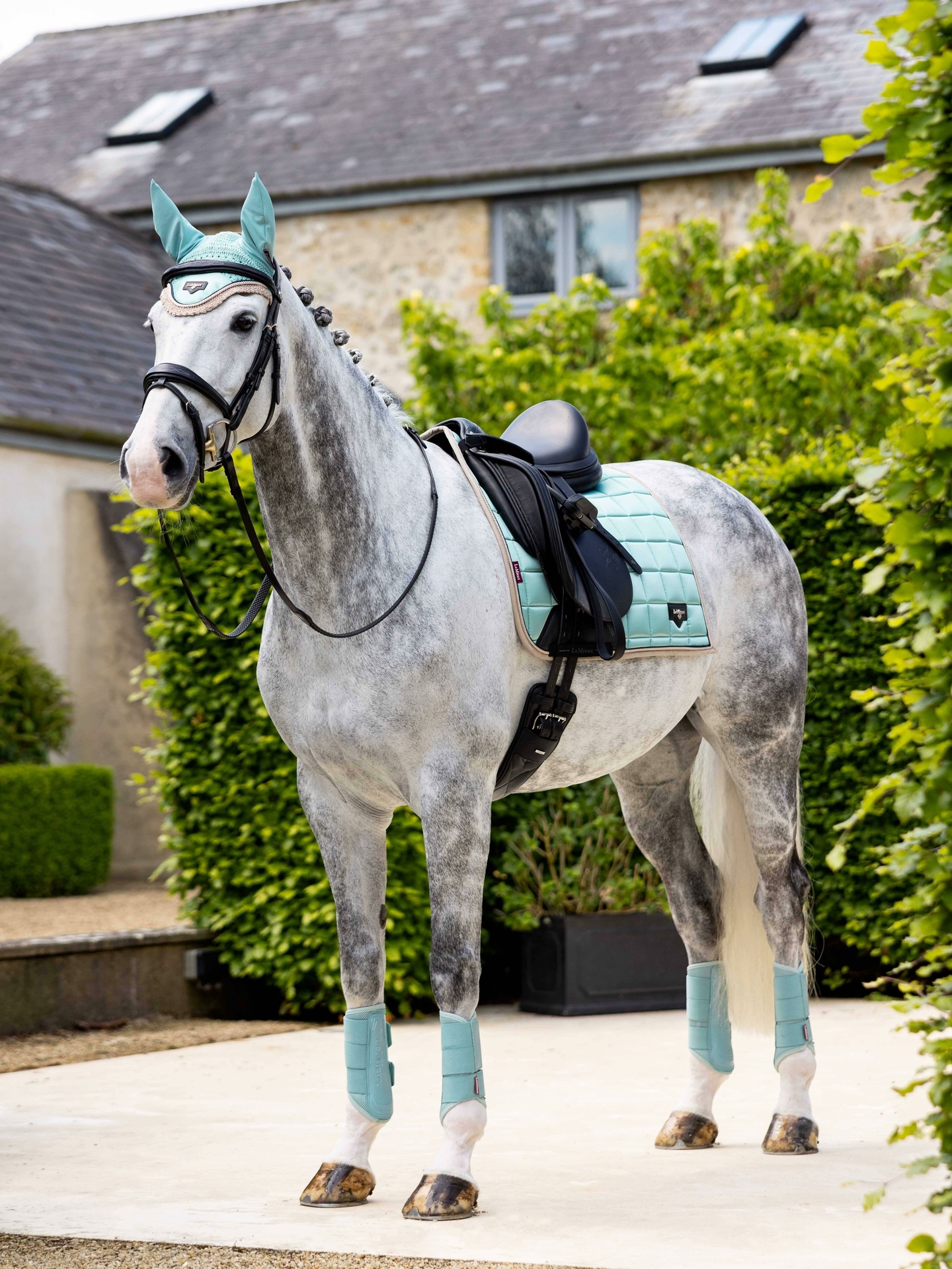 Sjabrak Lemieux Loire Classic Dressuur Aqua - Afbeelding 3