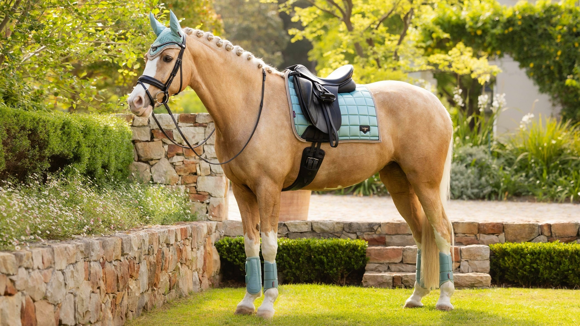 Sjabrak Lemieux Loire Classic Dressuur Aqua - Afbeelding 4