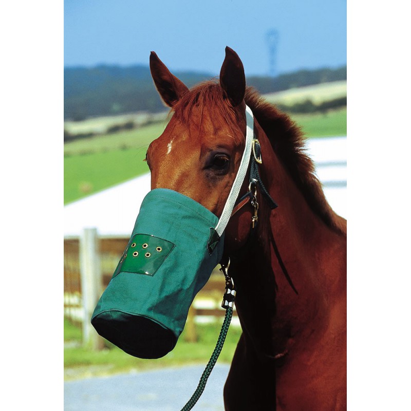 Hippotonic Voerzak Canvas