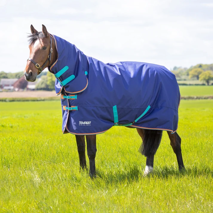 Deken Shires Tempest Original Combo 100