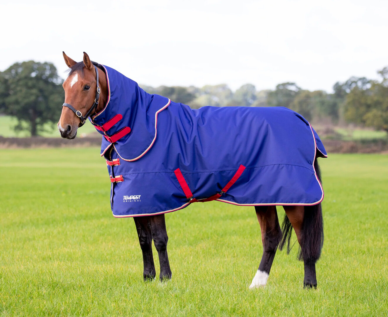 Shires Tempest Turnout 100 gram met losse hals