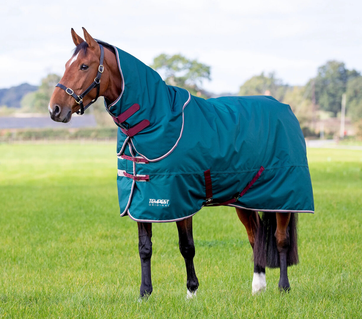 Shires Tempest Turnout 200 gram met losse hals groen