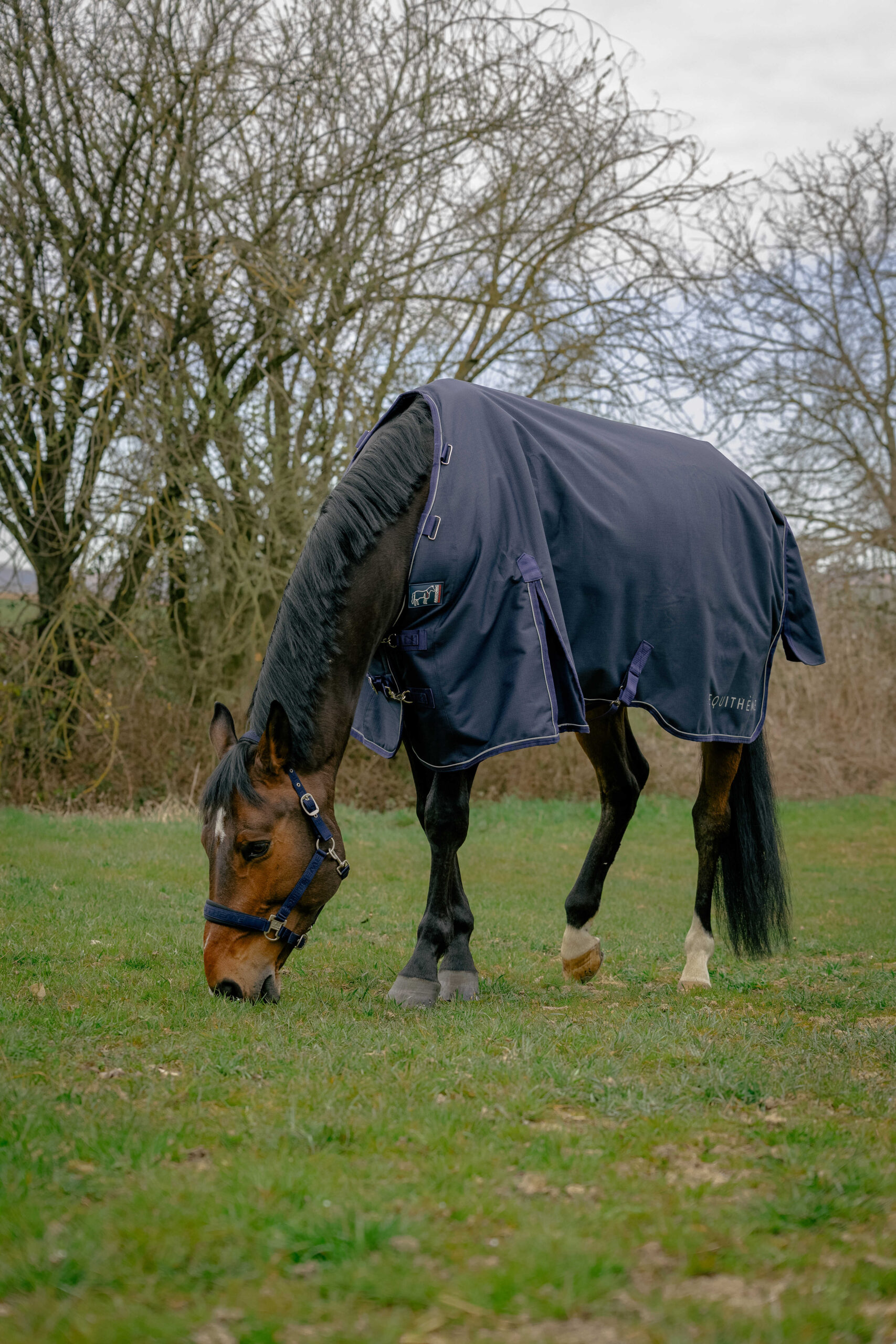 Outdoordeken Equitheme Anatomic