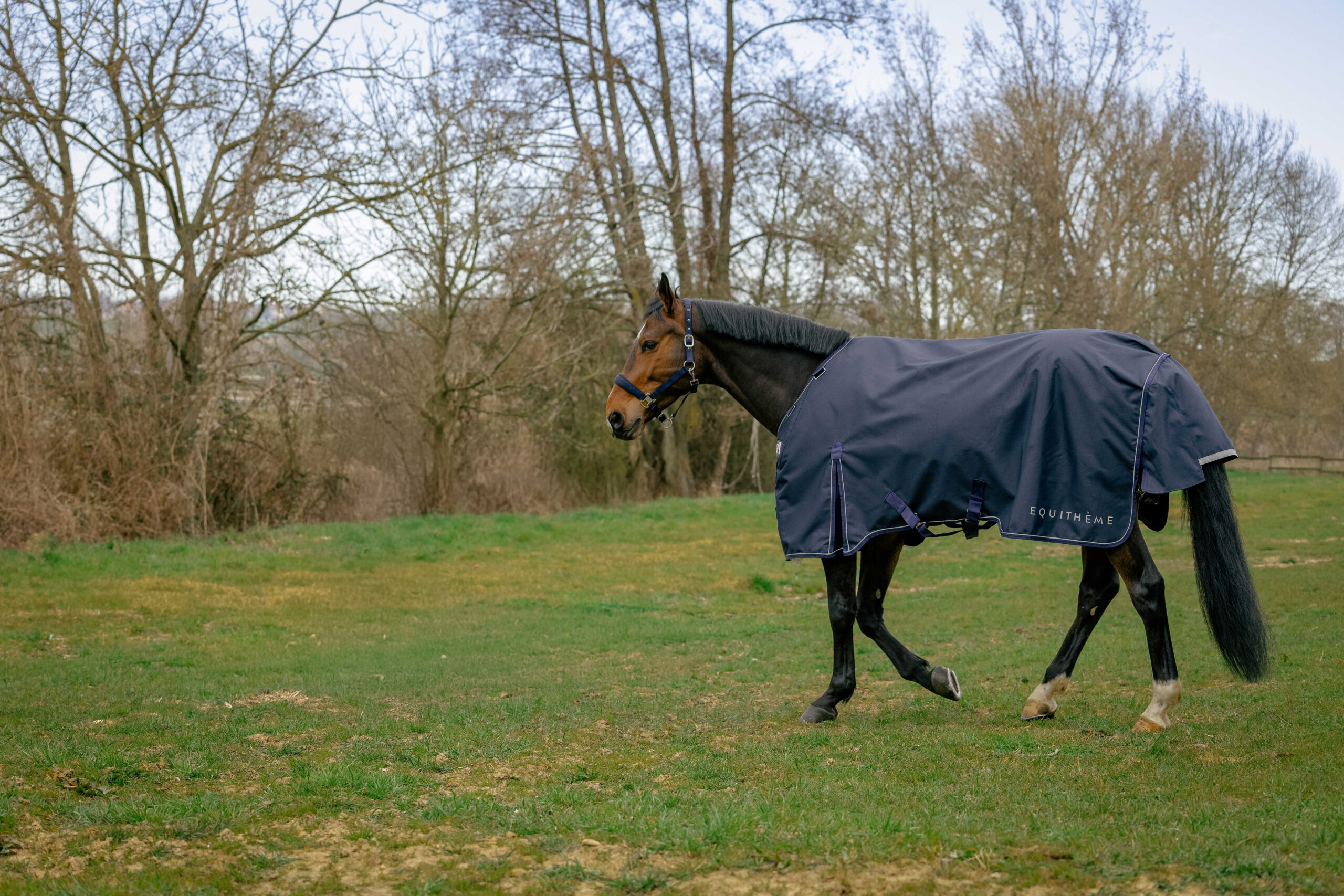 Outdoordeken Equitheme Anatomic - Afbeelding 4