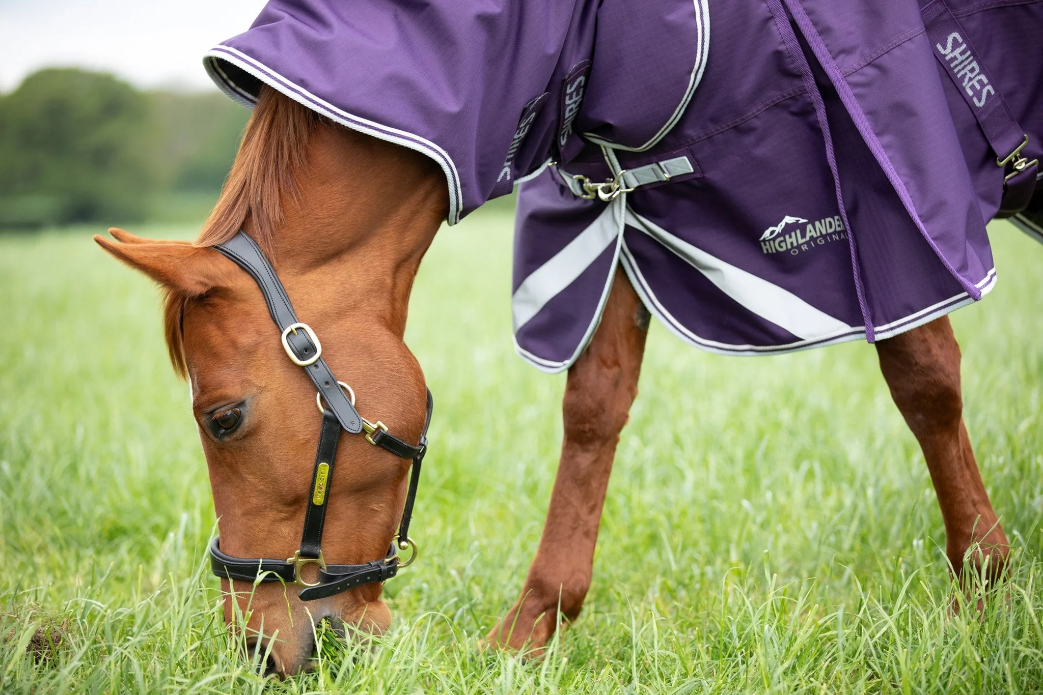 Shires Highlander Original Turnout 100 gram met losse hals - Afbeelding 5