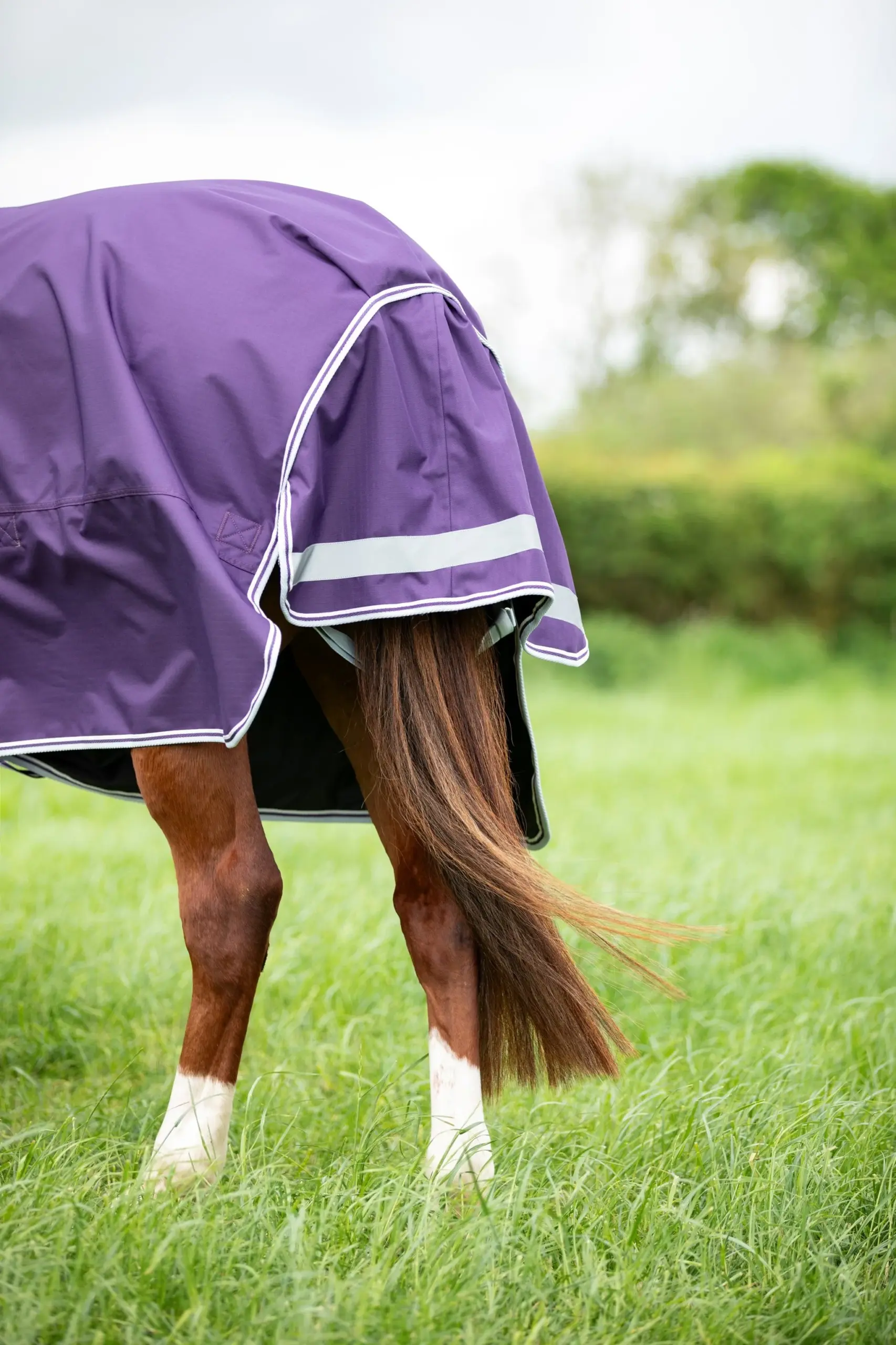 Shires Highlander Original Turnout 100 gram met losse hals - Afbeelding 3