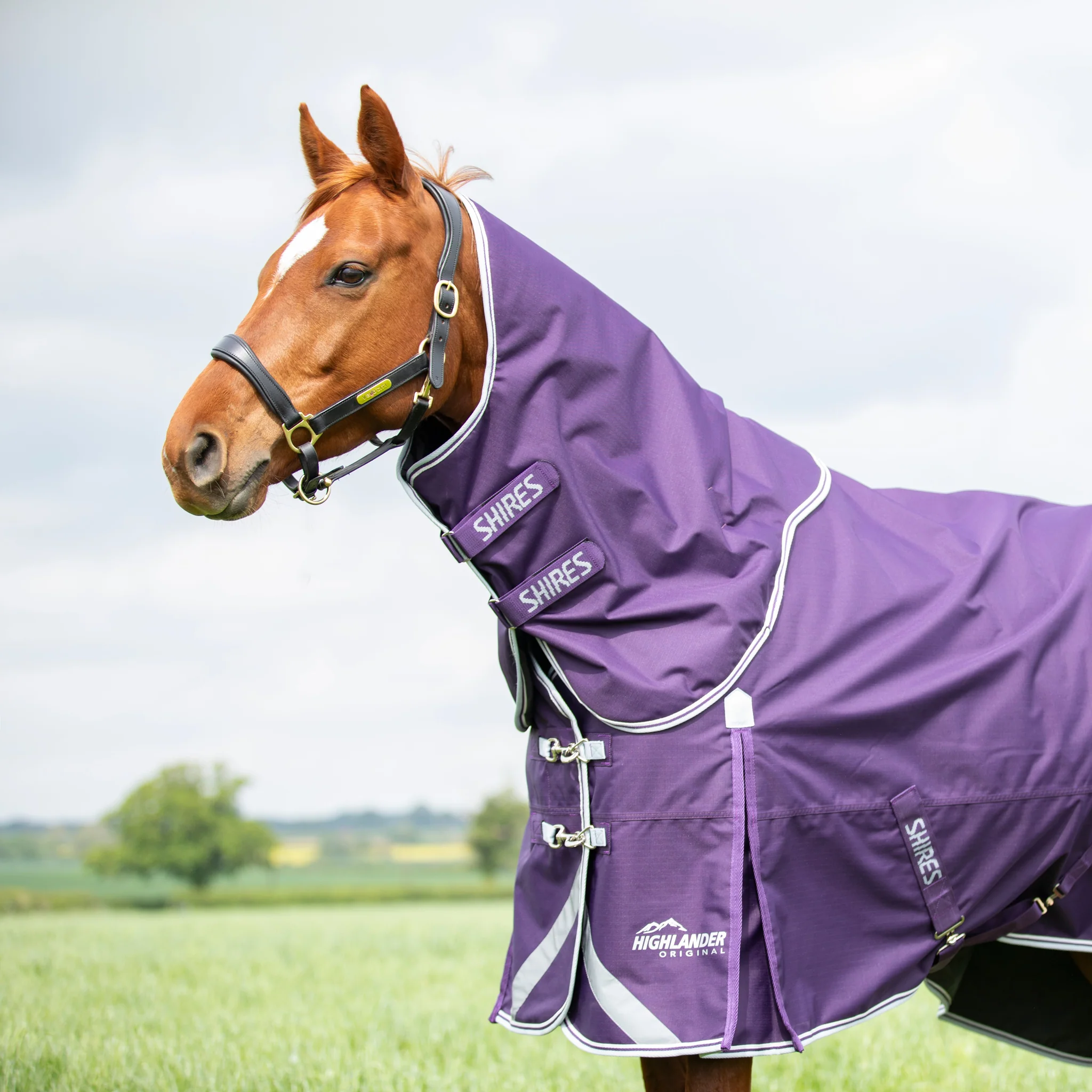 Shires Highlander Original Turnout 100 gram met losse hals - Afbeelding 4