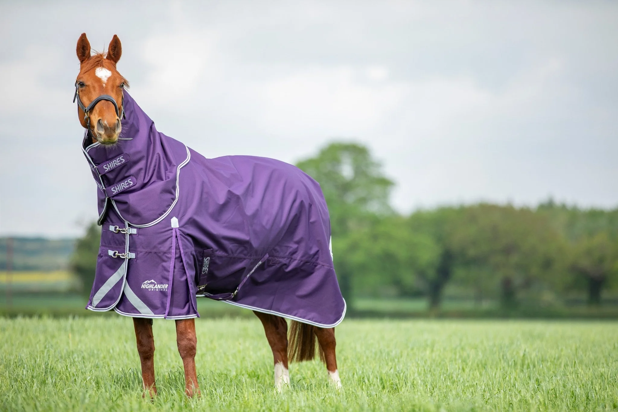 Shires Highlander Original Turnout 100 gram met losse hals - Afbeelding 2