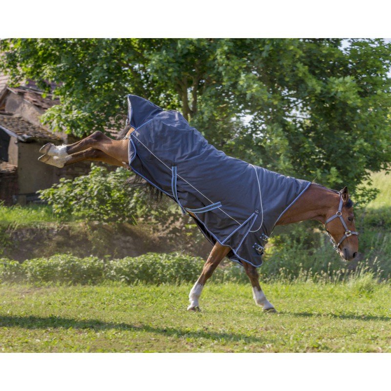 Equitheme Tyrex Highneck regendeken 1200Den - Afbeelding 5