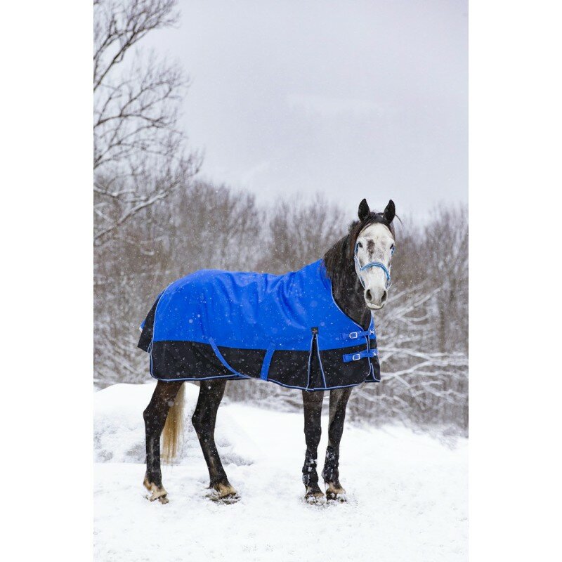Equitheme Tyrex deken Highneck 1200 Den - Afbeelding 3