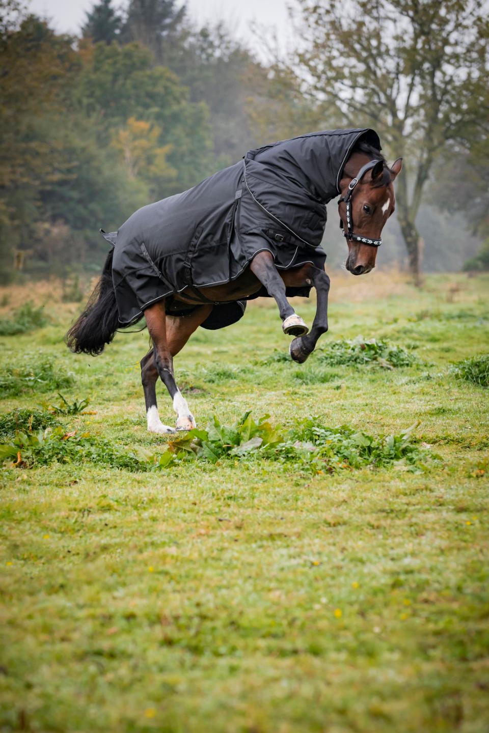 Catago Endurance 2.0 outdoordeken 1680Den Zonder hals - Afbeelding 2