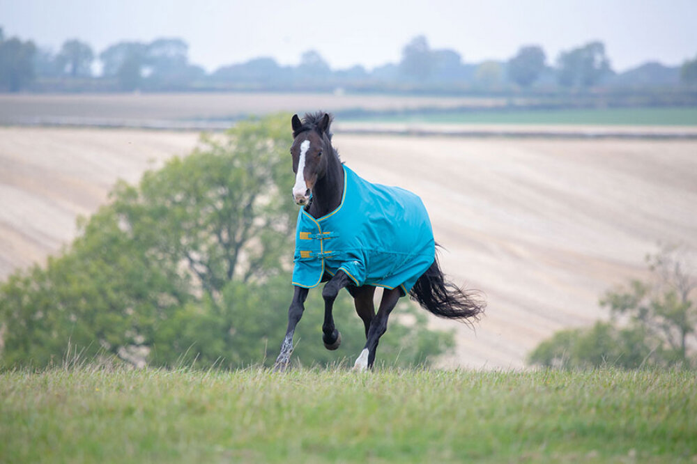 Shires Tempest outdoordeken Teal