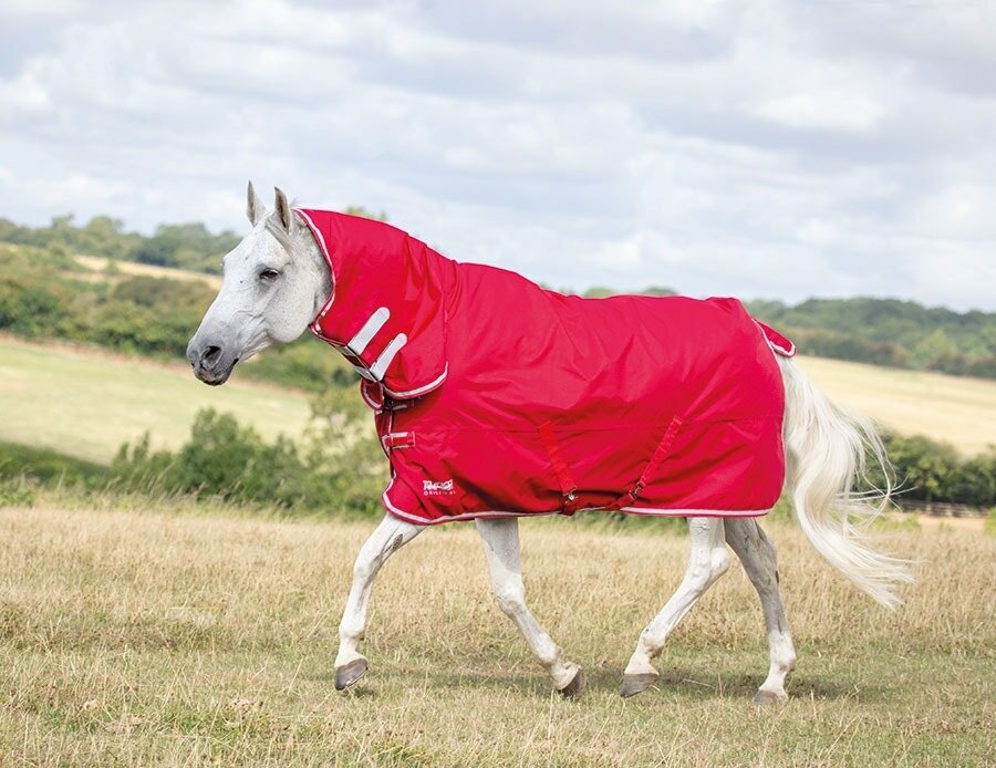 Deken Shires Tempest vaste hals 0 gram
