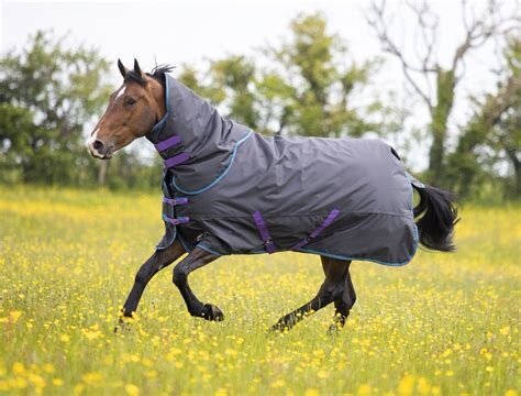 Shires Tempest Original 300 Rug & Neck Set