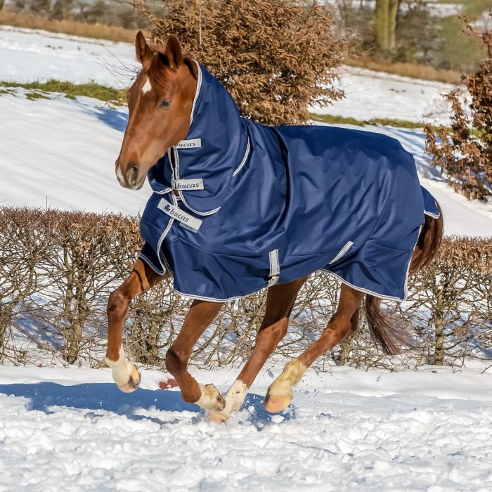 Bucas Freedom Full Neck