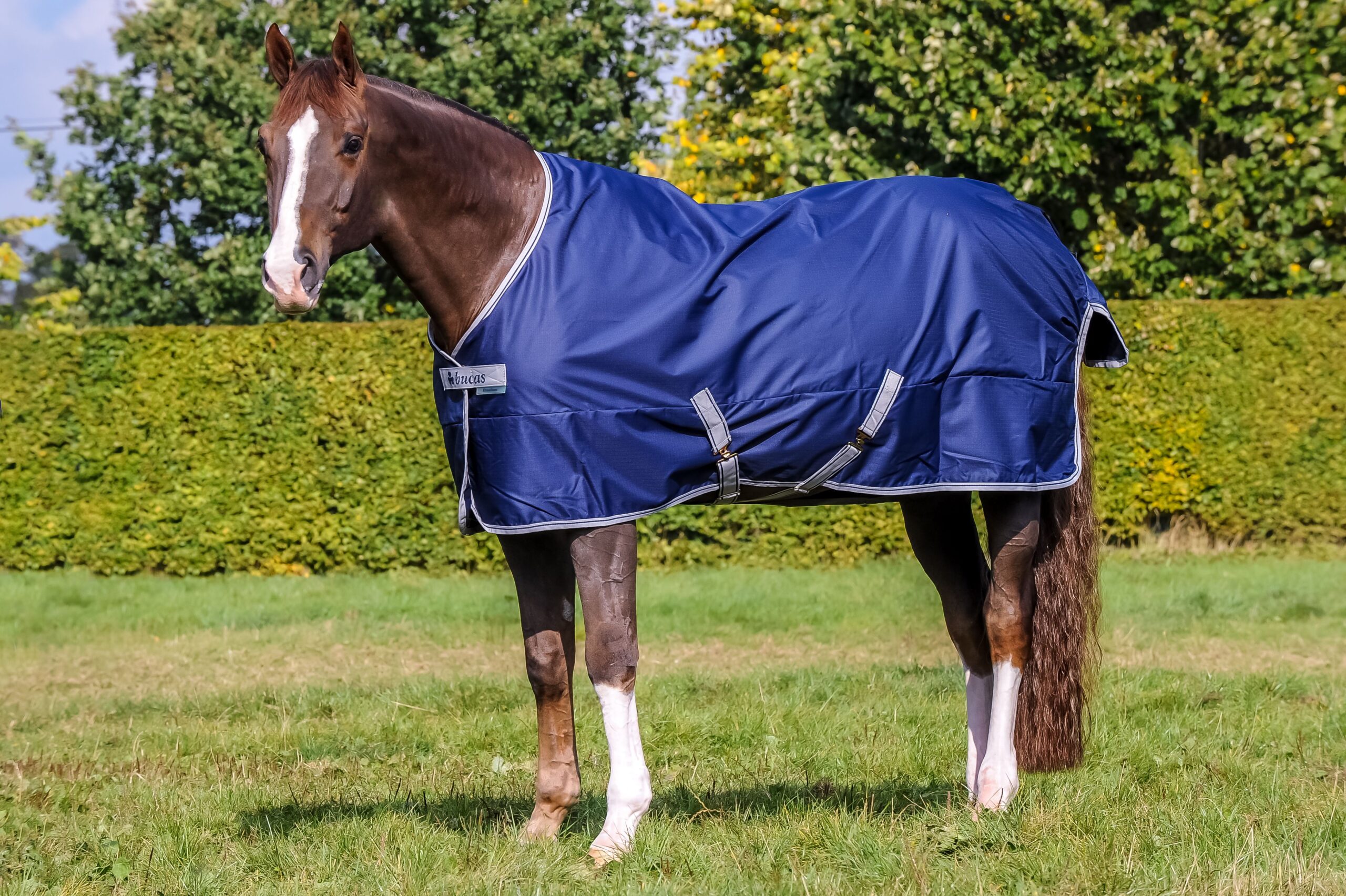 Bucas Freedom outdoordeken - Afbeelding 2