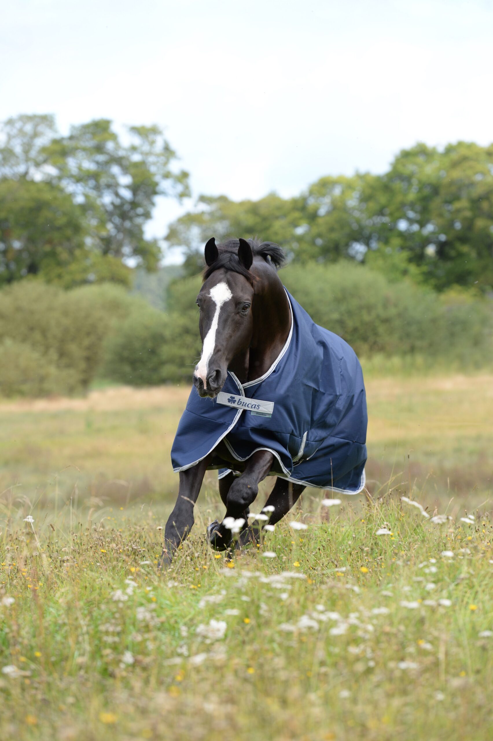 Bucas Freedom outdoordeken - Afbeelding 3