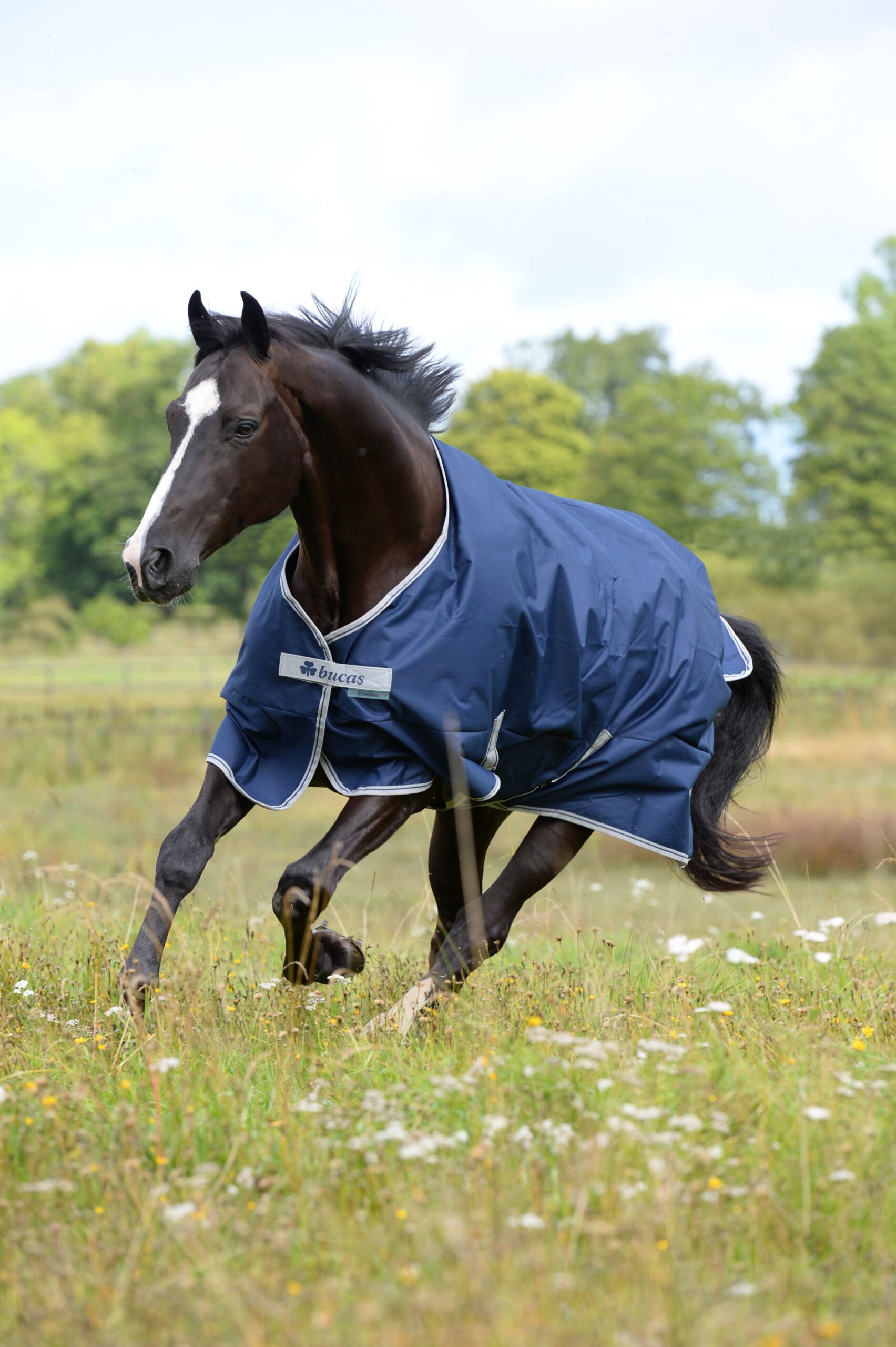 Bucas Freedom outdoordeken