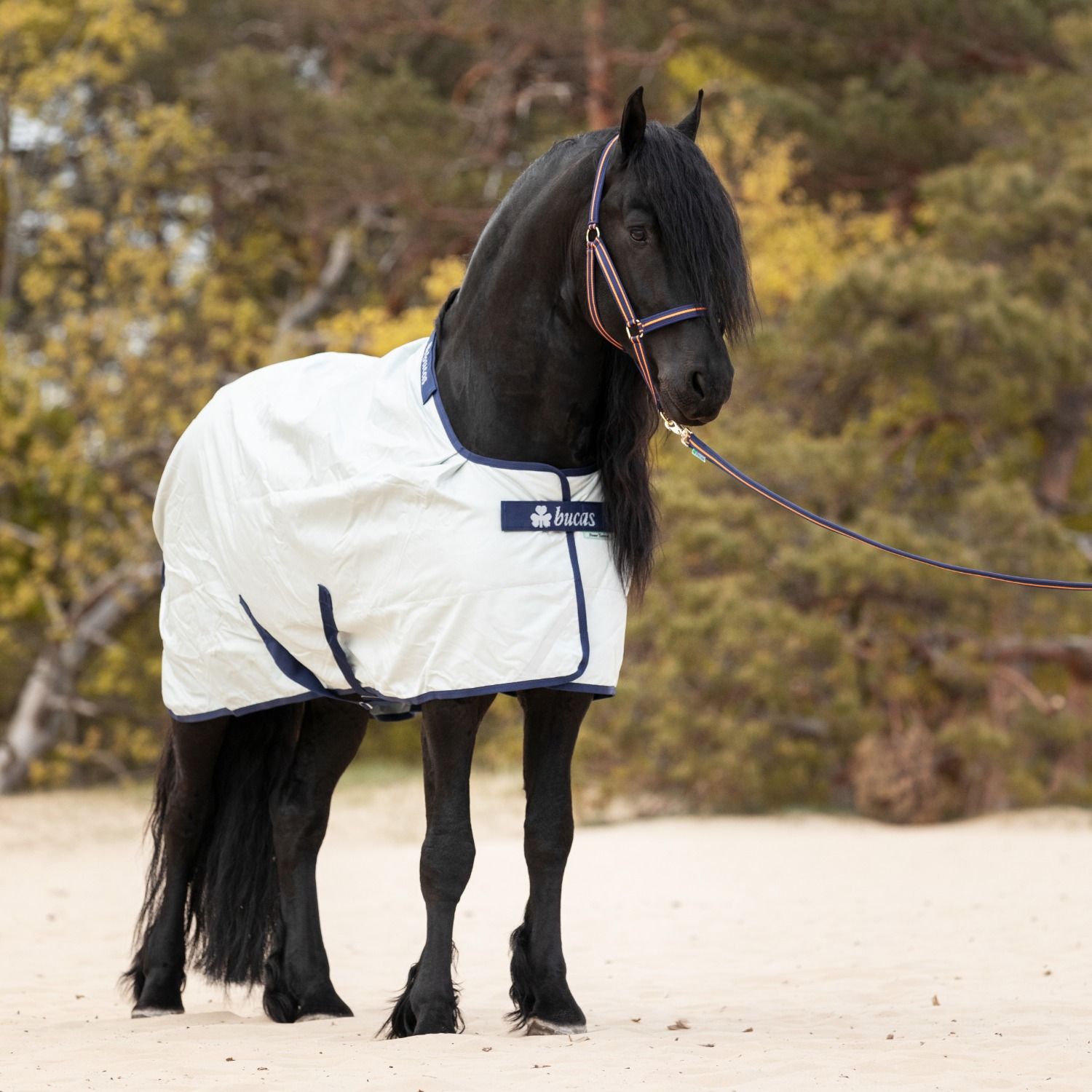 Bucas Power Turnout Big Neck Light outdoordeken - Afbeelding 6
