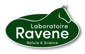 Ravene