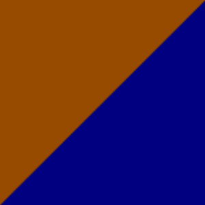 Bruin/Navy