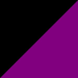 Zwart/Paars