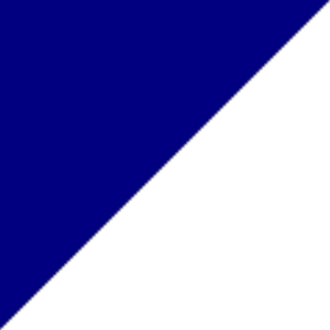 Navy/wit