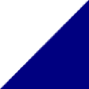 Wit/Navy