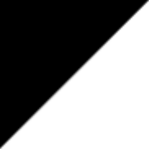 Zwart/wit