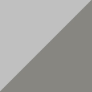 Zilver/Titanium