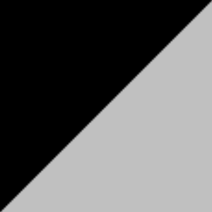 Zwart/zilver